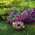 греческая амфора