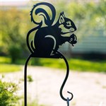 белка в саду