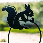 белка белка