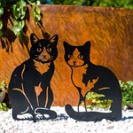 черные коты