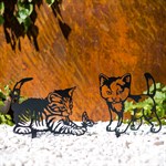 черный кот черный кот