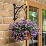 купить кронштейн для кашпо