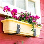 кронштейны в подарок