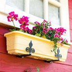 настенное крепление