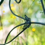 с бабочками