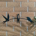 ласточки для декора