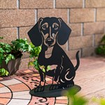 такса сидит такса сидит