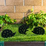 ежата в саду