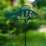 судак в саду судак в саду