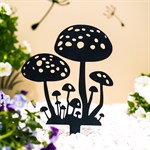 грибы в саду грибы в саду