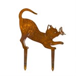 кошка с бабочкой