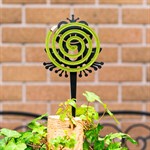 лягушка в саду