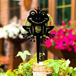 лягушка для спирали