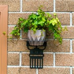 для одного кашпо