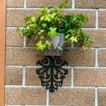 для одного кашпо для одного кашпо