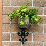 для одного кашпо