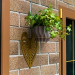 для одного кашпо