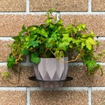 для одного кашпо