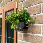 настенное крепление