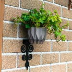 для одного кашпо