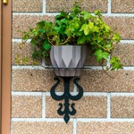 для одного кашпо