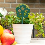 для сада и дачи