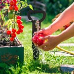 садовый кронштейн