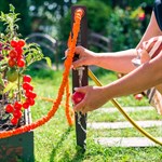 для дачи и сада