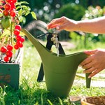 кронштейн 801-241