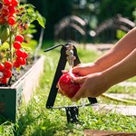 для дачи и сада