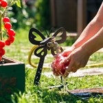 для дачи и сада для дачи и сада