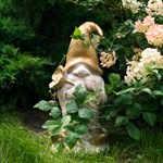 гном покраска белый с золотом