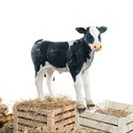 купить фигуру для сада