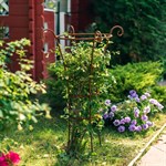 опора для садовых растений опора для садовых растений