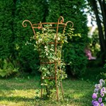 для роз для роз