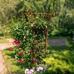 для гортензий для гортензий