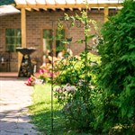 для роста растений