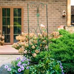 шпалера 57-012