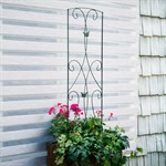 для здоровых растений