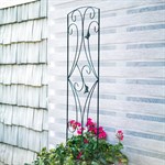 шпалера для правильного роста растений