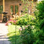 для здорового роста растений