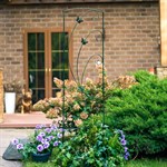 шпалера высотой 150 см