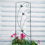 для вьющихся растений