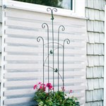 для растений