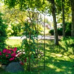 для сада и огорода