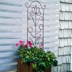 для правильного роста растений