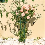 для роста растений