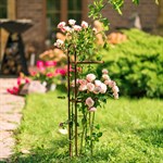 опора для садовых растений