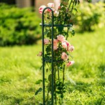 для правильного роста растений