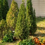 каркас для растений